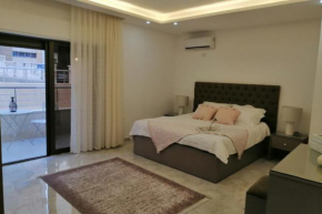 Amazing one Bedroom Apartment in Amman Elwebdah 3